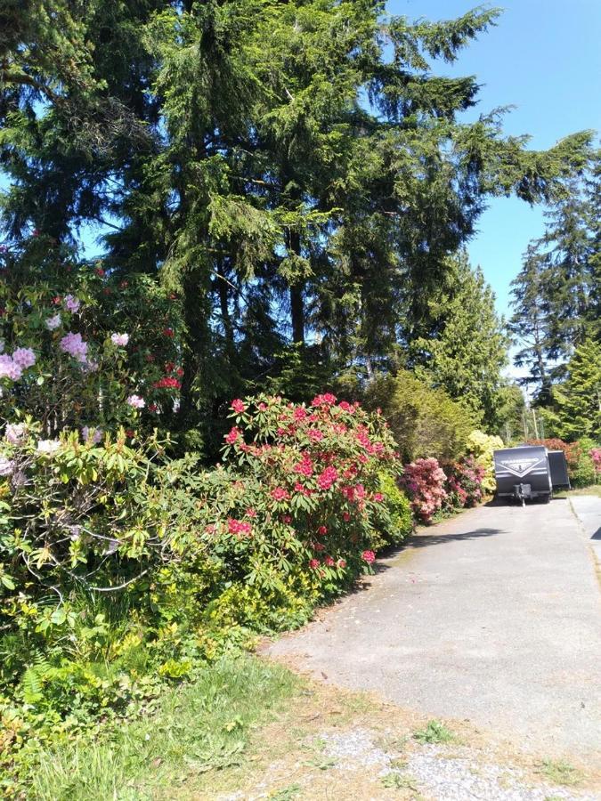 Dolphin Motel Tofino Luaran gambar