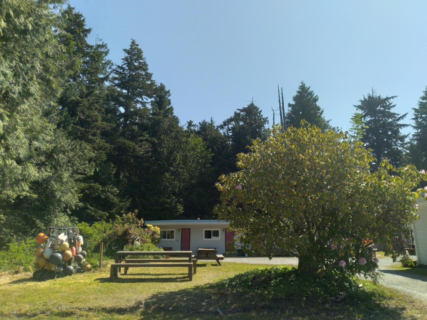 Dolphin Motel Tofino Luaran gambar